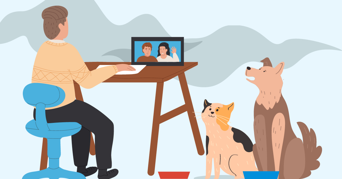 Person video chatting on laptop with pets nearby, surrounded by smoke.