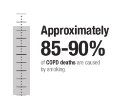 Approximately 85-90% of COPD deaths are caused by smoking