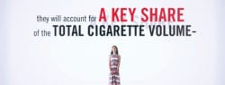 This will account for a key share of the total cigarette volume