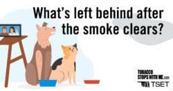 What's left behind after the smoke clears?