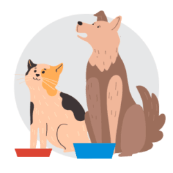 Cat and dog cartoon drawing