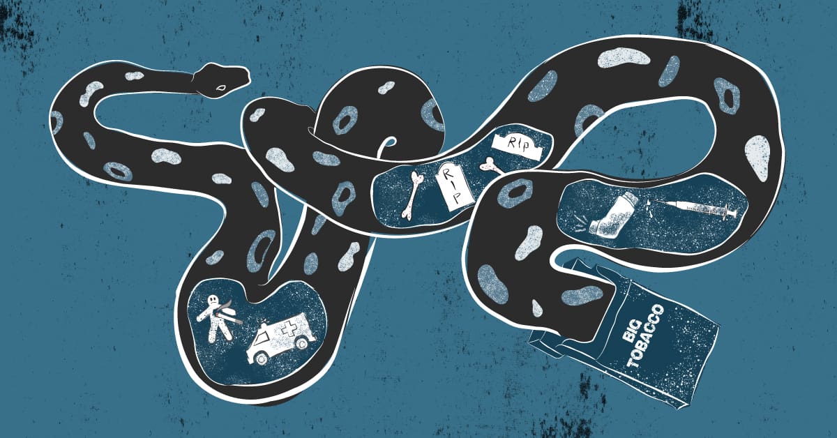 Big Tobacco Snake illustration