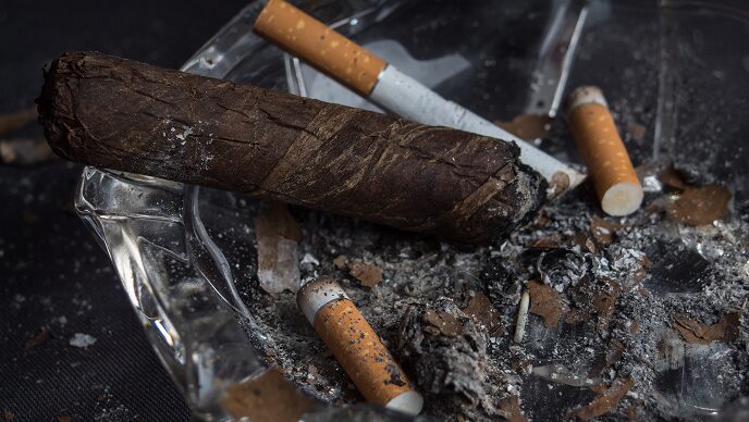 Cigar and cigarettes in ashtray