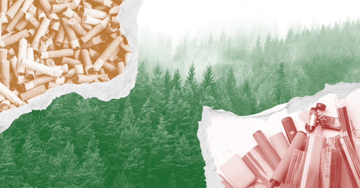 A collage-style graphic featuring a misty green forest of pine trees in the background. In the upper left, a torn-paper cutout reveals a pile of cigarette butts in warm orange tones. In the lower right, another cutout shows a collection of vape pens and e-cigarettes in pink/red tones.
